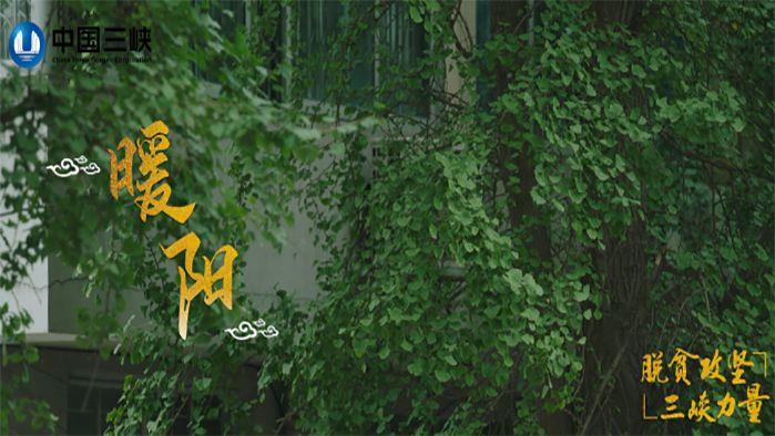暖陽(yáng)